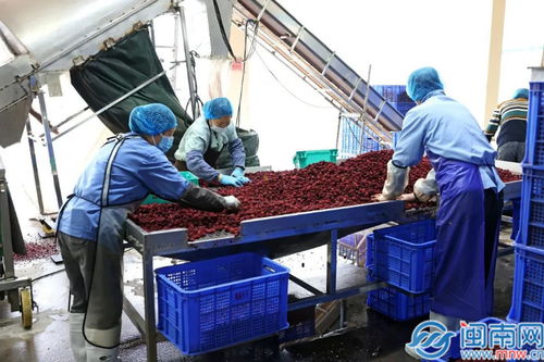 詔安縣縣長帶隊調(diào)研企業(yè)復工復產(chǎn)情況